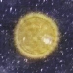 orb 2